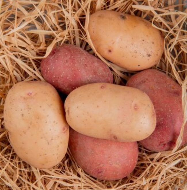red potato benefits